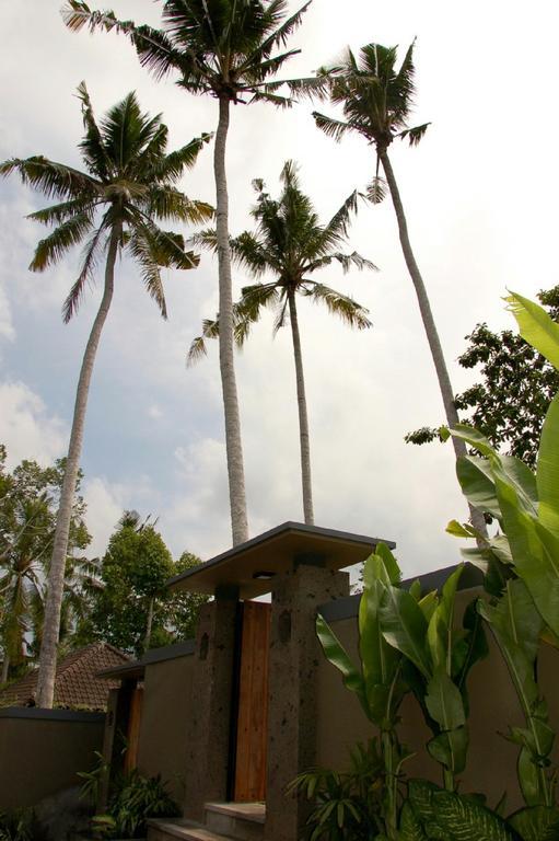 Villa Padma Ubud Eksteriør billede